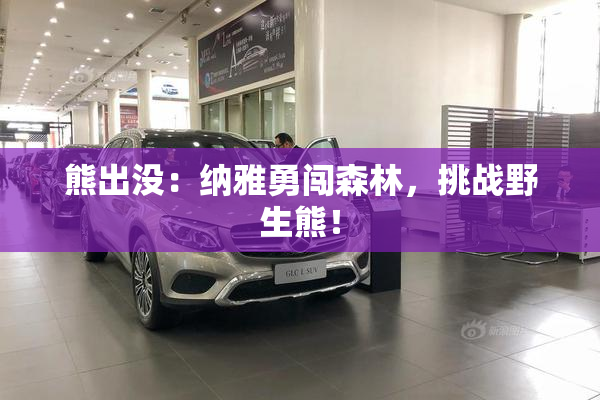 熊出没：纳雅勇闯森林，挑战野生熊！