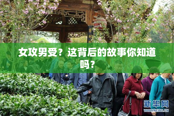 女攻男受？这背后的故事你知道吗？