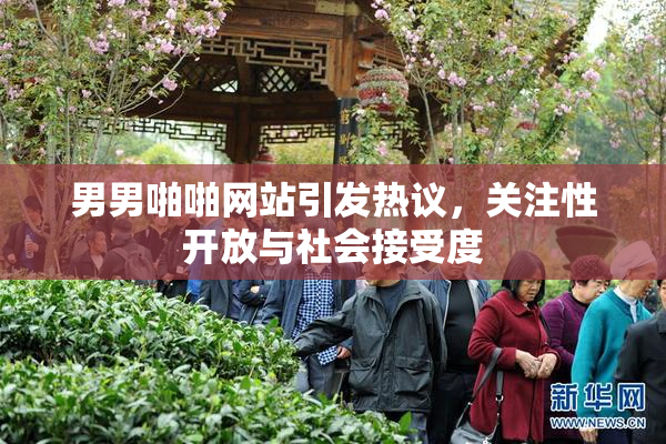 男男啪啪网站引发热议，关注性开放与社会接受度