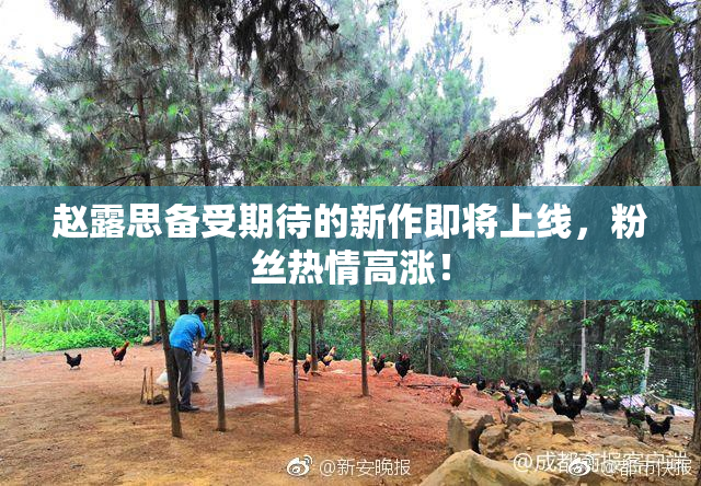 赵露思备受期待的新作即将上线，粉丝热情高涨！