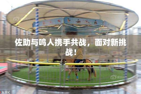 佐助与鸣人携手共战，面对新挑战！