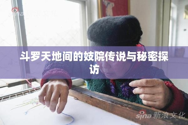 斗罗天地间的妓院传说与秘密探访
