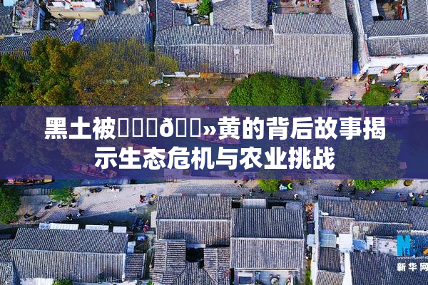 黑土被❌‌‌🐻黄的背后故事揭示生态危机与农业挑战