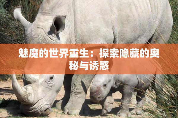 魅魔的世界重生：探索隐藏的奥秘与诱惑