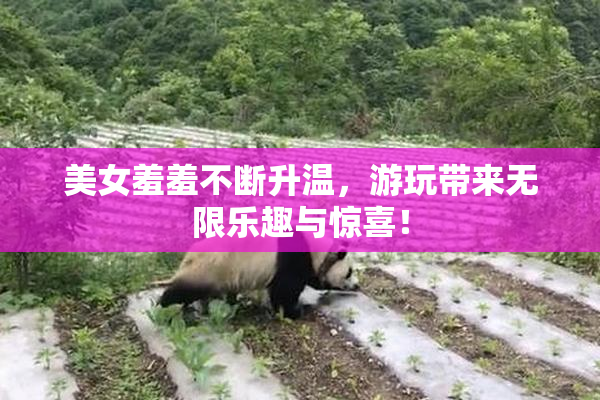 美女羞羞不断升温，游玩带来无限乐趣与惊喜！