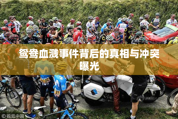 鸳鸯血溅事件背后的真相与冲突曝光