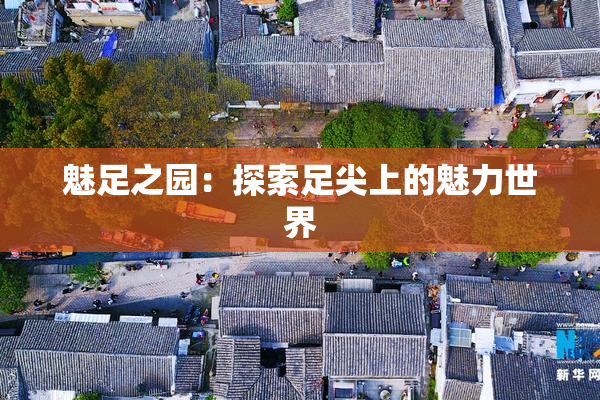 魅足之园：探索足尖上的魅力世界