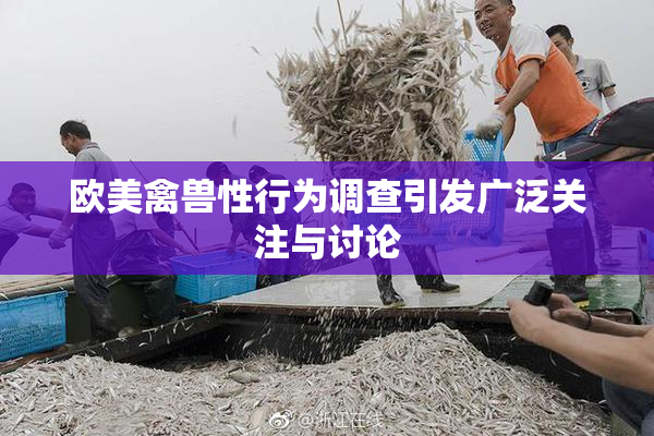 欧美禽兽性行为调查引发广泛关注与讨论