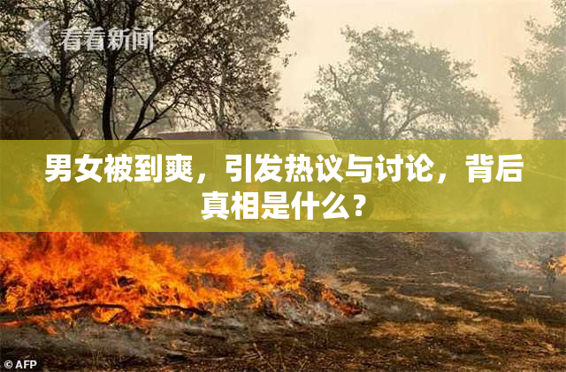男女被到爽，引发热议与讨论，背后真相是什么？