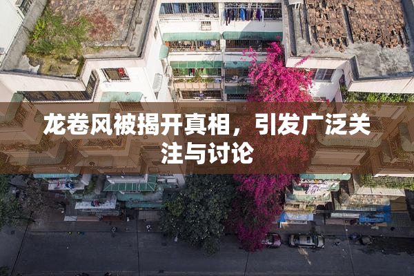 龙卷风被揭开真相，引发广泛关注与讨论