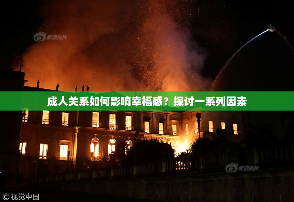 成人关系如何影响幸福感？探讨一系列因素
