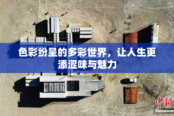 色彩纷呈的多彩世界，让人生更添涩味与魅力