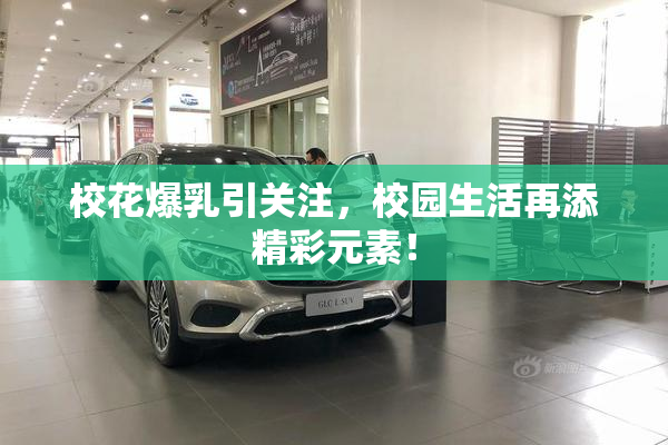 校花爆乳引关注，校园生活再添精彩元素！