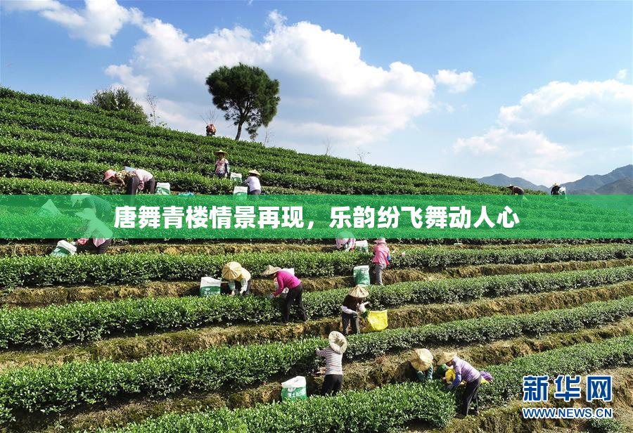 唐舞青楼情景再现，乐韵纷飞舞动人心