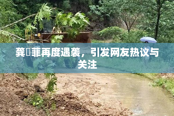 龚玥菲再度遇袭，引发网友热议与关注