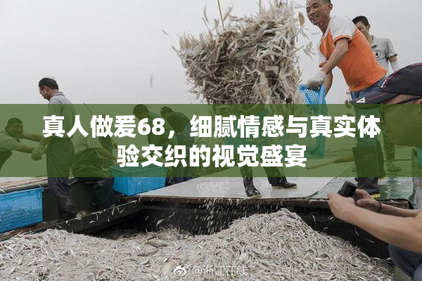 真人做爰68，细腻情感与真实体验交织的视觉盛宴