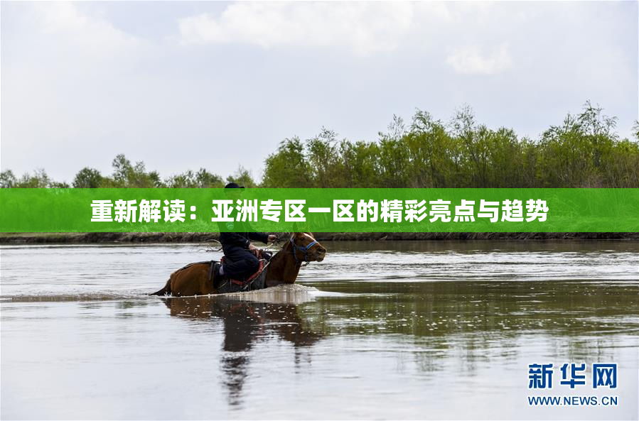 重新解读：亚洲专区一区的精彩亮点与趋势