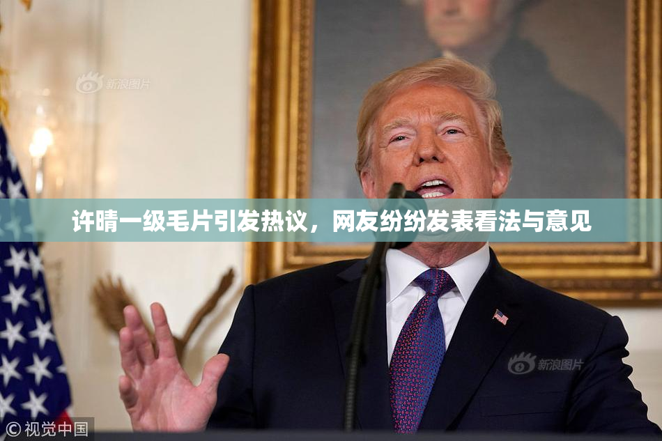 许晴一级毛片引发热议，网友纷纷发表看法与意见