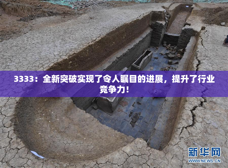 3333：全新突破实现了令人瞩目的进展，提升了行业竞争力！
