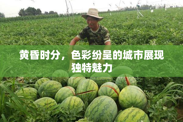 黄昏时分，色彩纷呈的城市展现独特魅力