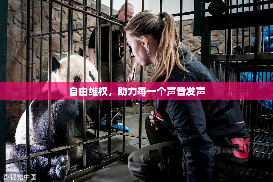 自由维权，助力每一个声音发声