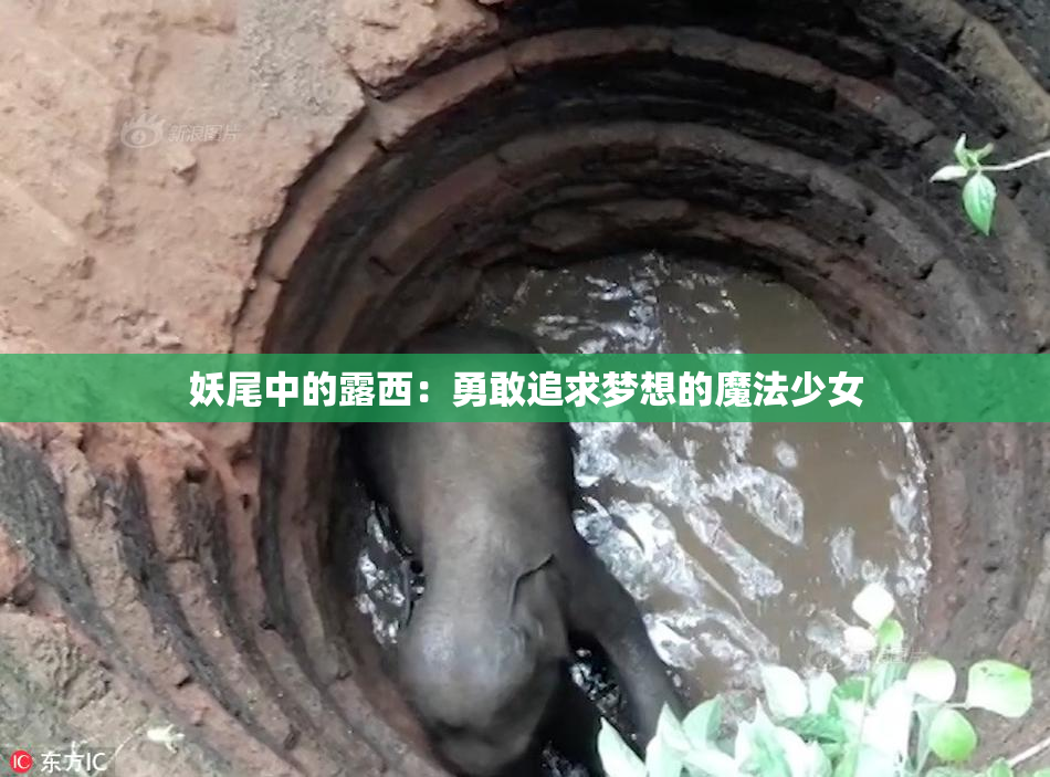 妖尾中的露西：勇敢追求梦想的魔法少女