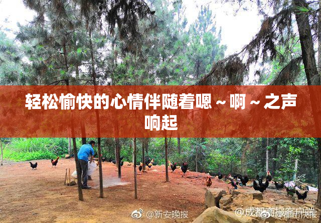轻松愉快的心情伴随着嗯～啊～之声响起