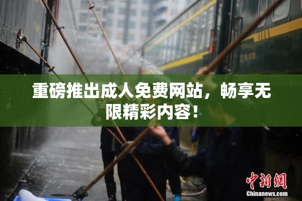 重磅推出成人免费网站，畅享无限精彩内容！
