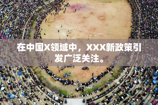 在中国X领域中，XXX新政策引发广泛关注。