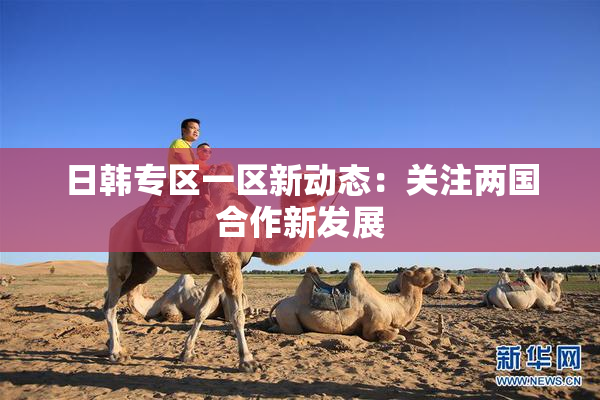 日韩专区一区新动态：关注两国合作新发展