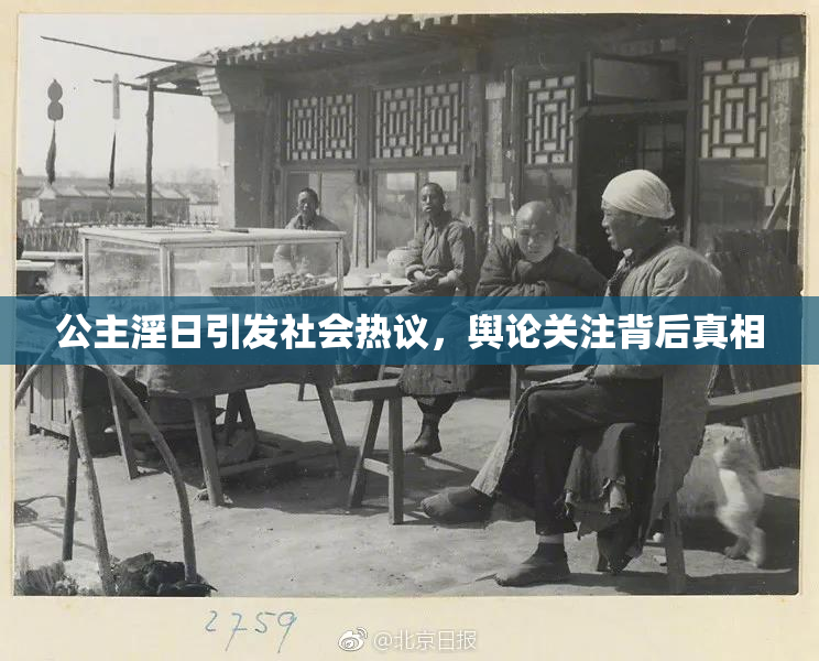 公主淫日引发社会热议，舆论关注背后真相