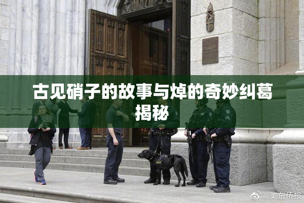 古见硝子的故事与焯的奇妙纠葛揭秘