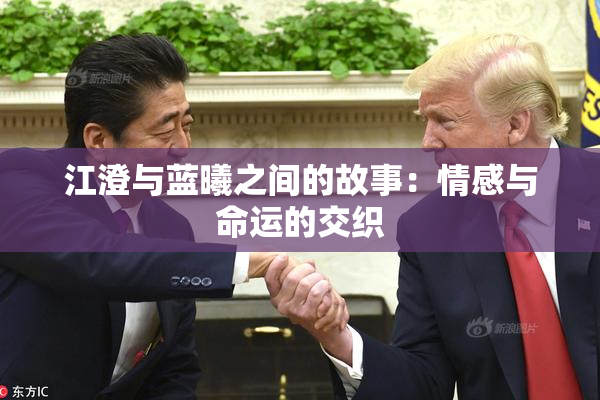 江澄与蓝曦之间的故事：情感与命运的交织