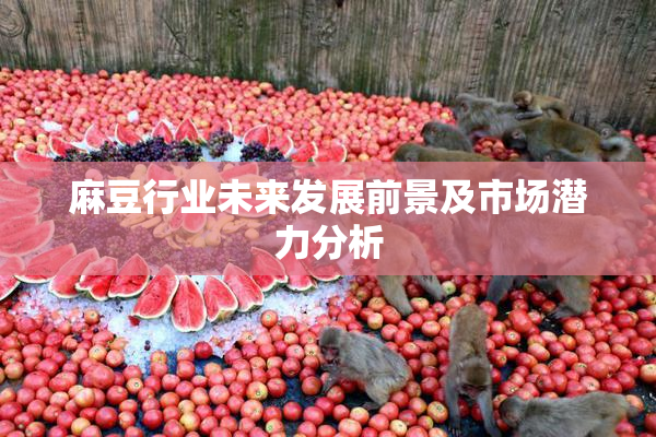 麻豆行业未来发展前景及市场潜力分析