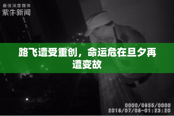 路飞遭受重创，命运危在旦夕再遭变故