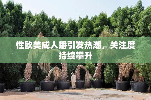 性欧美成人播引发热潮，关注度持续攀升