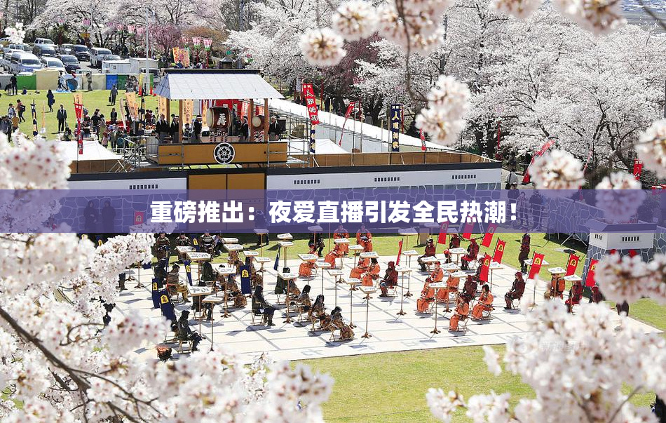 重磅推出：夜爱直播引发全民热潮！