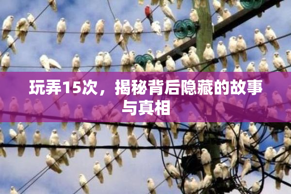 玩弄15次，揭秘背后隐藏的故事与真相