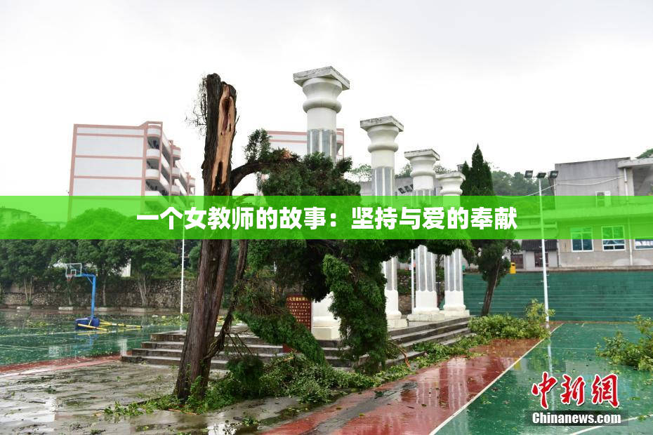 一个女教师的故事：坚持与爱的奉献