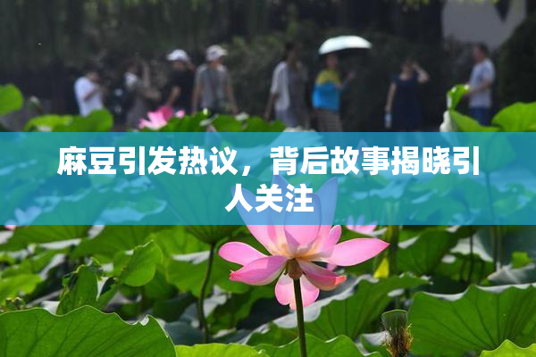 麻豆引发热议，背后故事揭晓引人关注