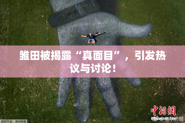 雏田被揭露“真面目”，引发热议与讨论！