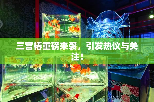 三宫椿重磅来袭，引发热议与关注！