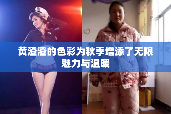 黄澄澄的色彩为秋季增添了无限魅力与温暖