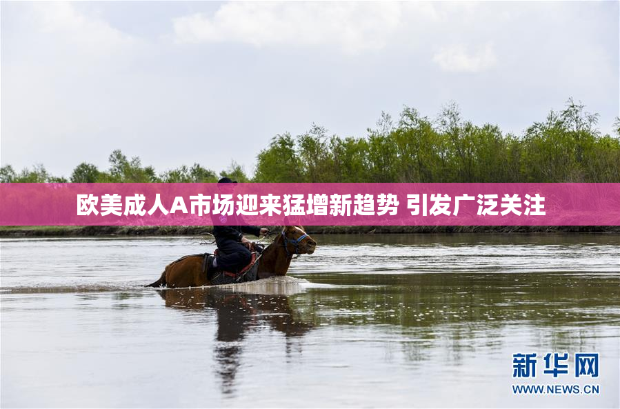 欧美成人A市场迎来猛增新趋势 引发广泛关注