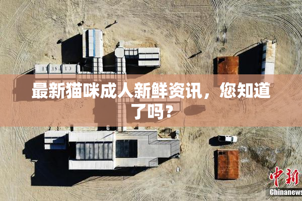 最新猫咪成人新鲜资讯，您知道了吗？