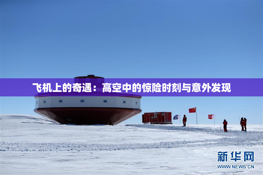 飞机上的奇遇：高空中的惊险时刻与意外发现
