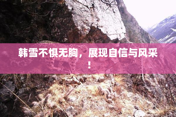 韩雪不惧无胸，展现自信与风采！