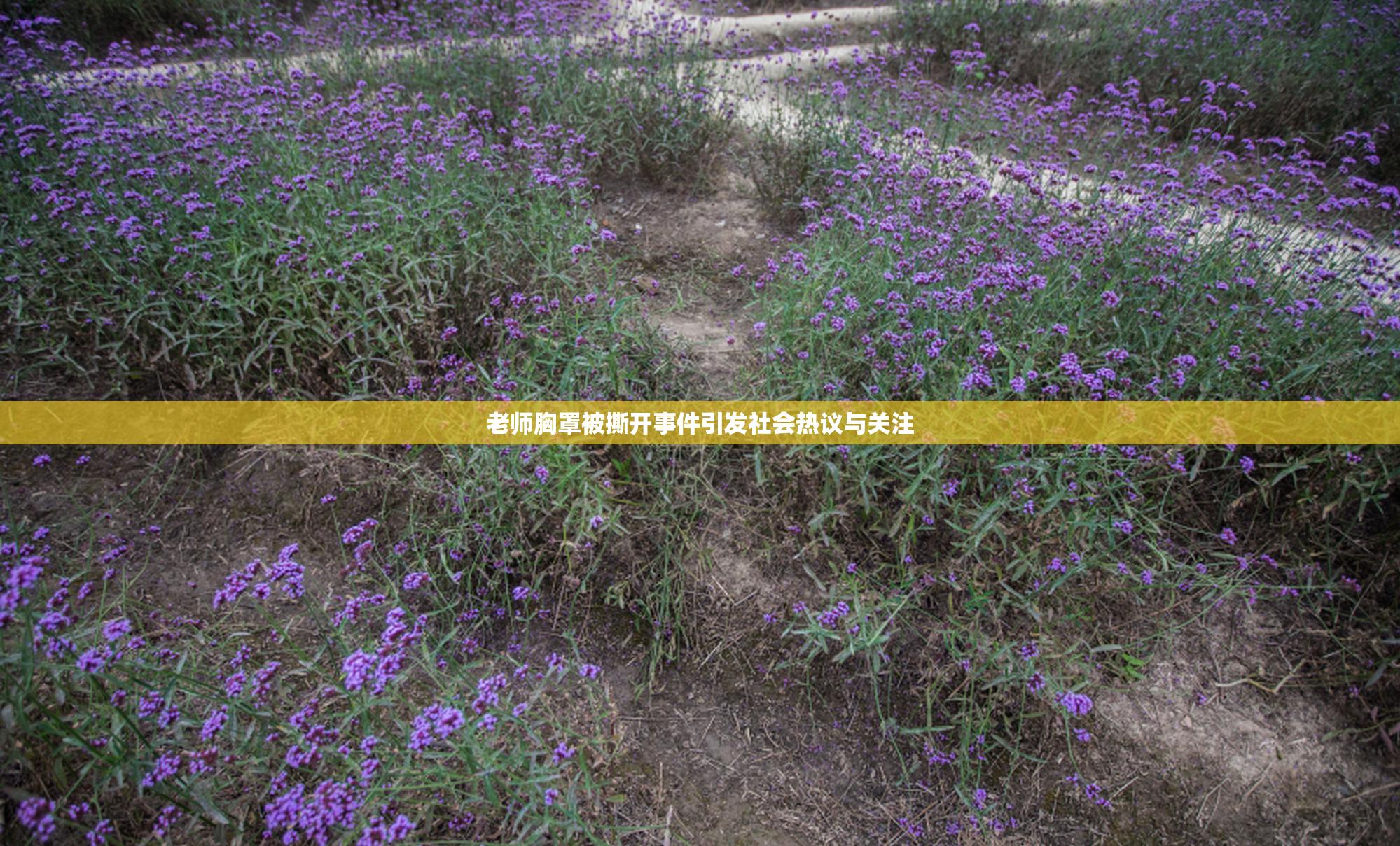老师胸罩被撕开事件引发社会热议与关注