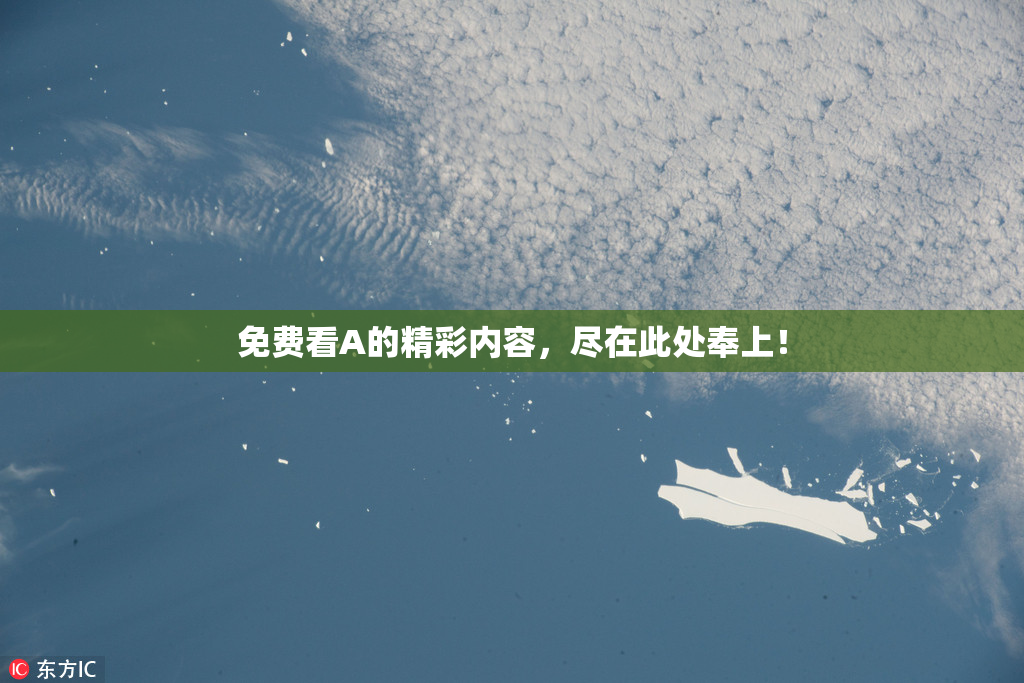 免费看A的精彩内容，尽在此处奉上！