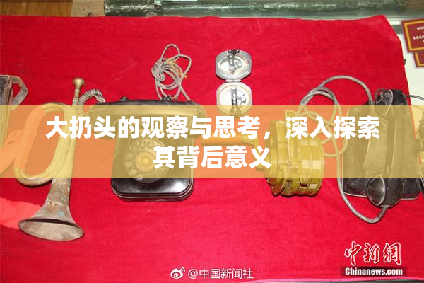 大扔头的观察与思考，深入探索其背后意义